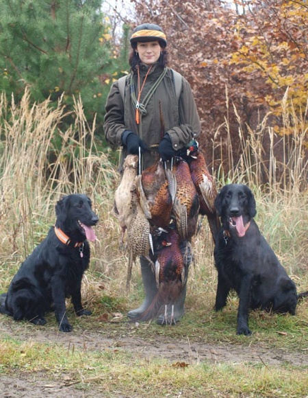 Hunting Flat Coated Retriever Oasis of Peace kennel